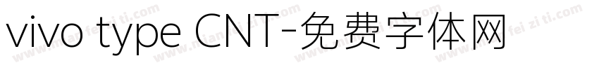 vivo type CNT字体转换